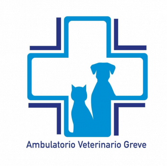 ambulatorio veterinario greve in chianti foto web 5