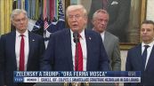 Breaking News delle 17.00 | Zelensky a Trump: "Ora ferma Mosca"
