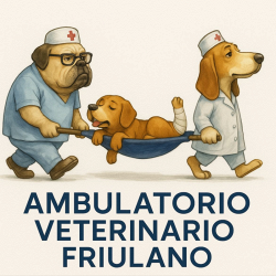 Ambulatorio Veterinario Friulano logo