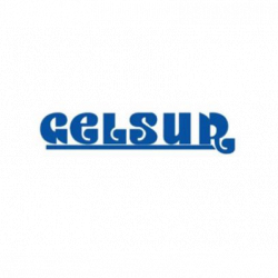 Gelsur Concessionario Algida logo
