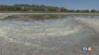 Tra siccità, incendi e caldo insopportabile