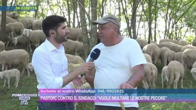 Pastori contro il sindaco: "Vuole multare le nostre pecore"