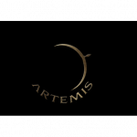 Artemis Consultancy