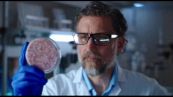 Alimentazione, i vantaggi delle proteine animali per salute metabolica