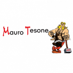 Fabbro Mauro Tesone logo