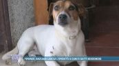 Firenze, anziana lascia l'eredità a cane e gatti bisognosi