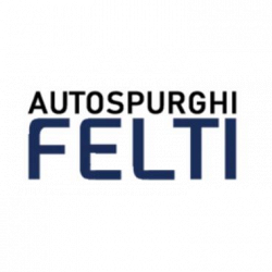 Autospurghi Felti logo