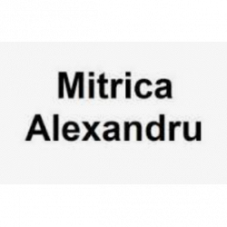 Mitrica Costruzioni logo