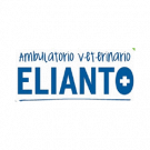 Ambulatorio Veterinario Elianto