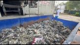 Plastica, l'impatto delle salviettine usa e getta sull'acqua