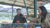 Vibo Valentia, prezzi frutta e verdura al mercato