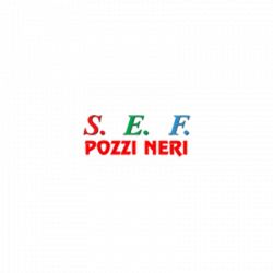 S.E.F. logo