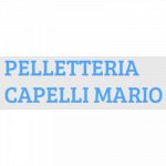 Pelletteria Capelli Mario
