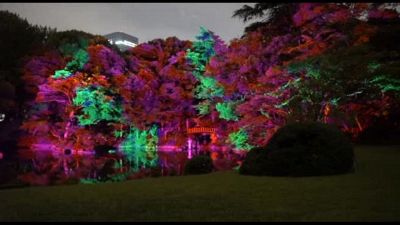 All'Ambasciata italiana in Giappone l'installazione "Locus Amoenus"