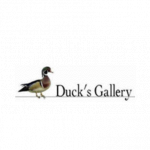 Antichità Duck'S Gallery
