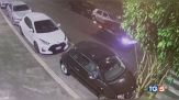 La madre del sedicenne della minicar "Chiedo scusa per mio figlio"
