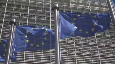 AFD preoccupa l'Ue la politica si divide