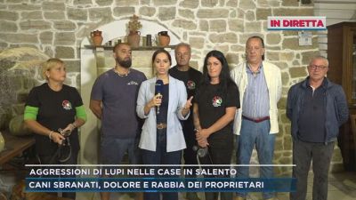 Aggressioni di lupi nelle case in Salento