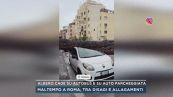 Albero cade su autobus e su auto parcheggiata