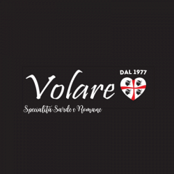Volare logo