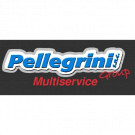 Pellegrini Group Multiservice Auto