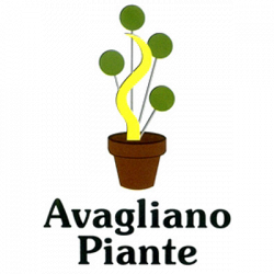Vivaio Avagliano Piante logo