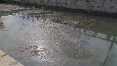 Darsena nera, tecnici al lavoro per fermare l'onda di gasolio