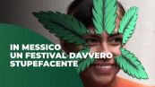 In Messico un festival davvero stupefacente