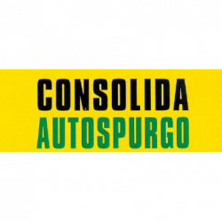 Consolida Autospurgo logo