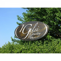 Ristorante I Gelsi logo