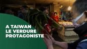 Le verdure protagoniste della campagna elettorale a Taiwan