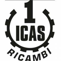 Icas 1 Ricambi logo