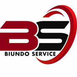 Biundo Service logo