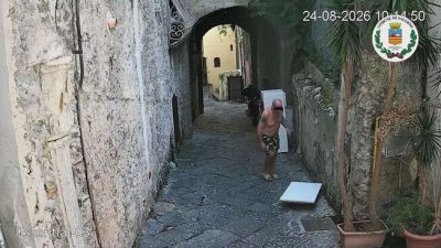 "Guardate l'imbecille in costume hawaiano che abbandona un frigo"