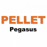 Pellet Pegasus - No legna