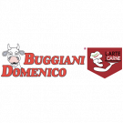 Buggiani Domenico Srl