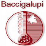 Baccigalupi Enologia