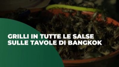 Grilli in tutte le salse sulle tavole di Bangkok