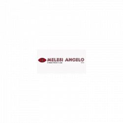 Melesi Angelo Snc di Melesi Silvano & C logo