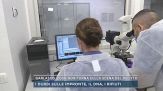 Garlasco, cosa non torna sulla scena del delitto