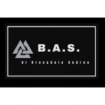 B.A.S.