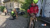 Gli eroi a 4 zampe che salvano vite