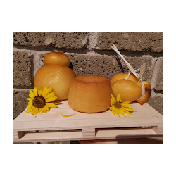 caseificio cappielllo logo