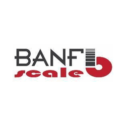 Banfi Scale logo