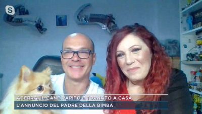 Acerra, il cane rapito è tornato a casa