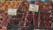 La pioggia, il maltempo e le gelate, le ciliegie sono diventate un frutto proibito