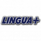 Linguapiù Centro formazione, Università Online, Informatica