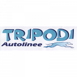 Autolinee Tripodi