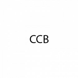 CCB di Besseghini Antonio e C. snc logo