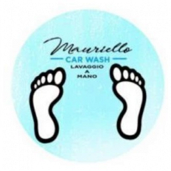 Autolavaggio Garage Mauriello Carlo logo